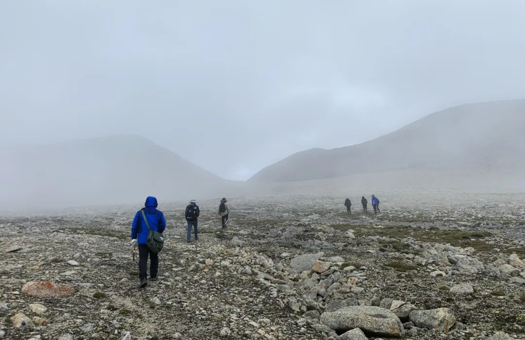 1666248431783029.jpg 00.jpg