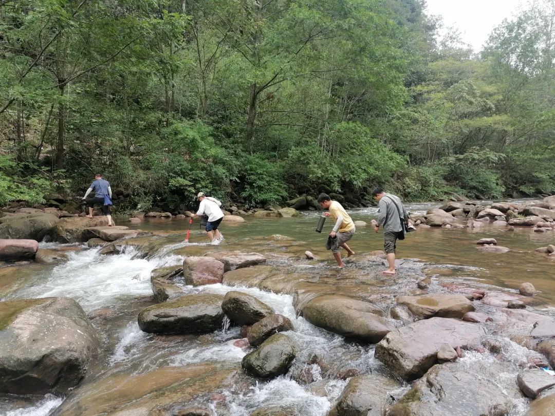 1666248445371691.jpg 00.jpg