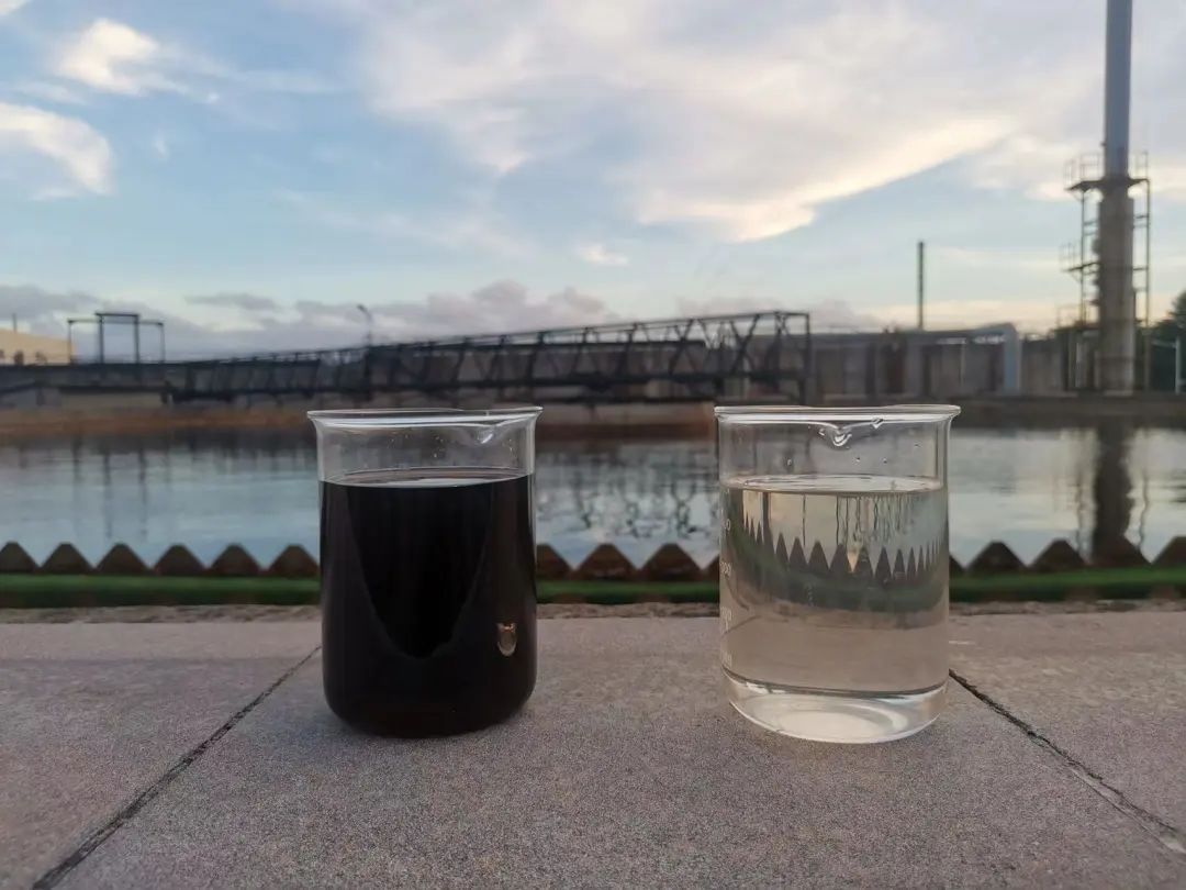 1682036640480257.jpg 00.jpg