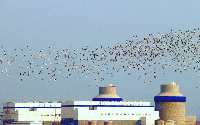 1682209009198158.gif 微信图片_20230423081610.gif