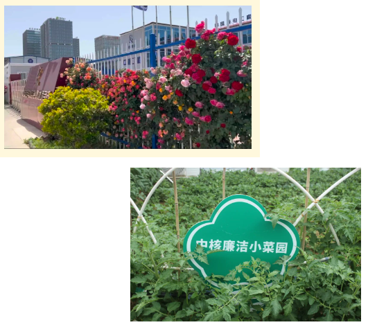 1696725165930239.png 00.png