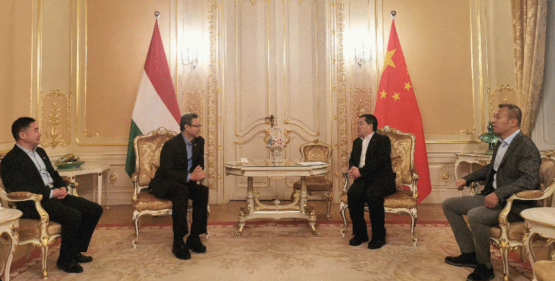 1701134603300546.gif 640.gif