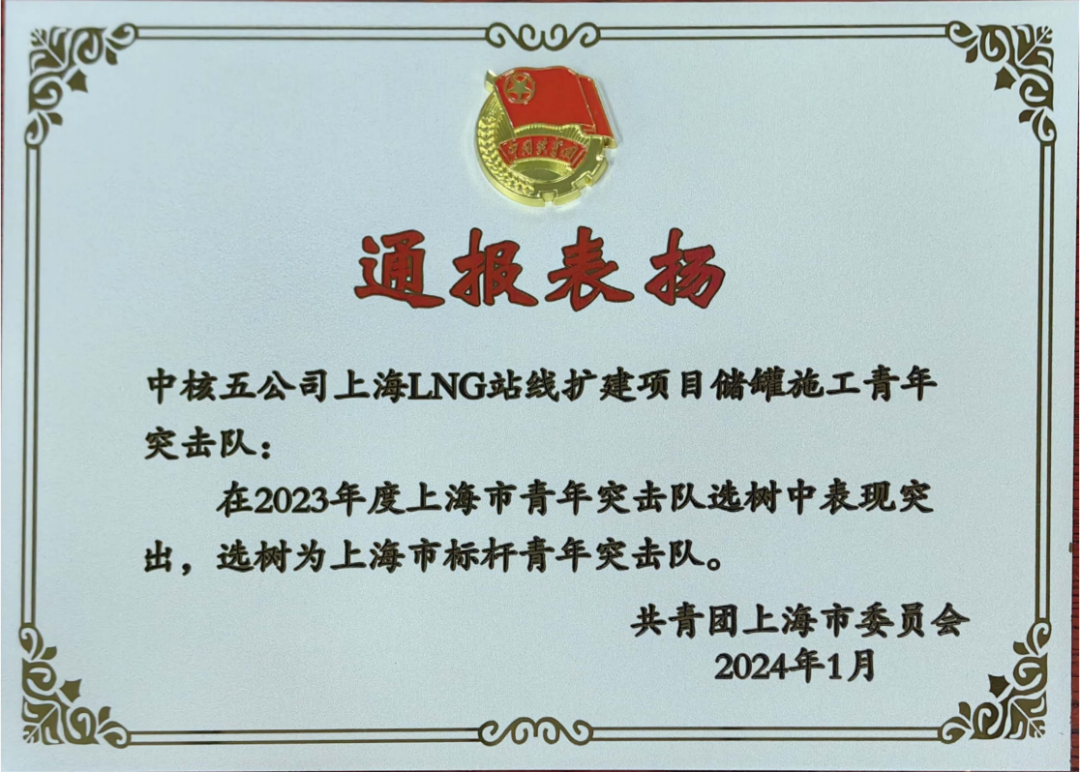 中核五公司一团队被选树为上海市标杆青年突击队