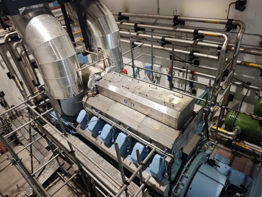 1763455307795051.jpg 6400.jpg