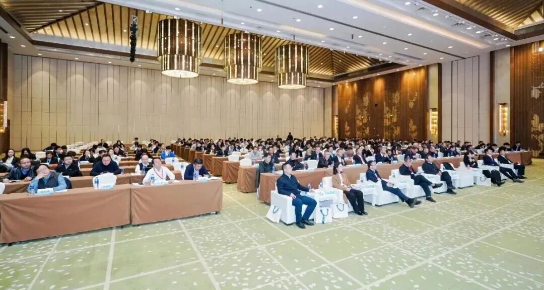 1764575001716765.jpg 6400.jpg