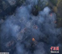 乌核电站周围发生森林大火 过火面积达400公顷